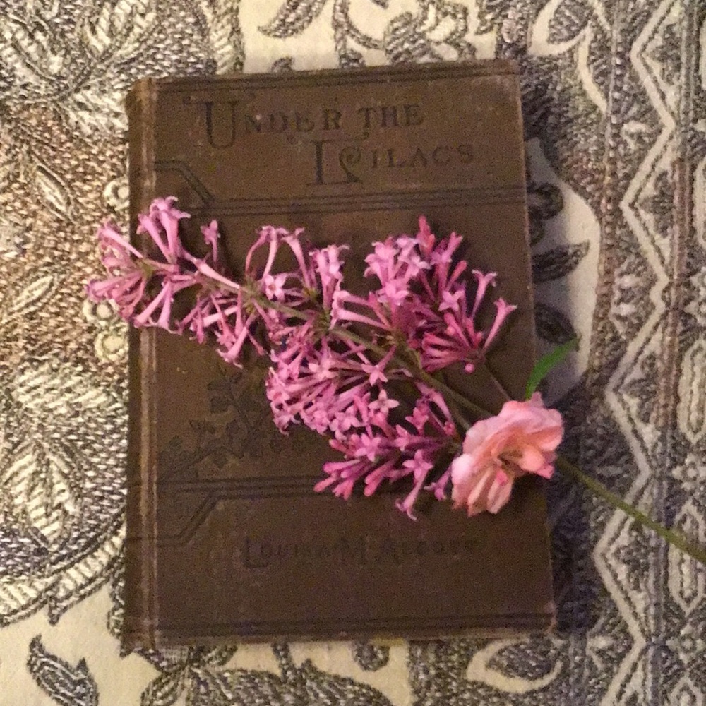 Under the Lilacs Louisa May Alcott author of Little Women 1894 book